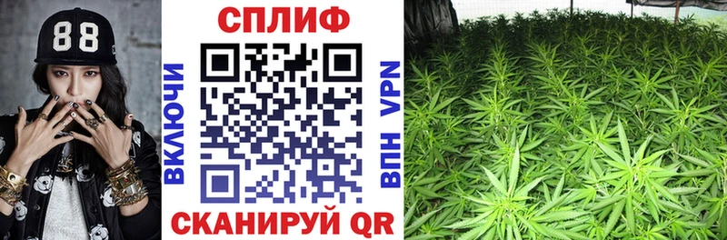 Купить Мезень Канабис семена